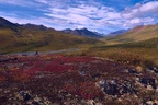 North Klondike River Valley, Tombstone Territorial Park