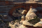 Natural Bridges National Monument, Bicentennial Hwy UT