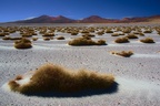 A-967, Salar de Huasco