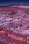 Piedras Rojas, Salar de Talar