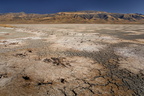 KH7A7069 stillwater carsontable